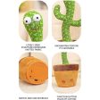 Interactive Dancing Cactus (Talking Toy) For Sale