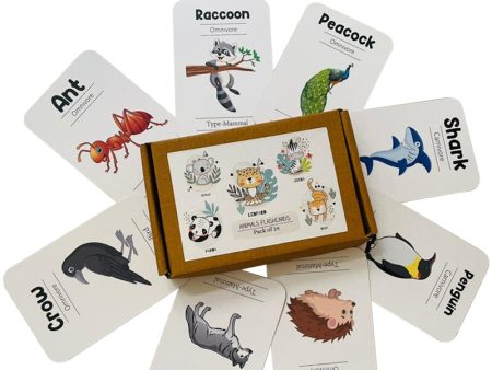 Animals Flash Cards - Pack of 24 Hot on Sale