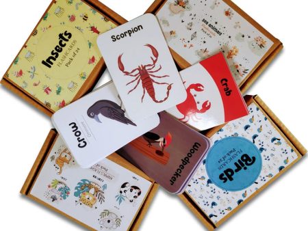 Animals World Flashcards Combo Pack (animals, birds, insects and sea animals) For Sale