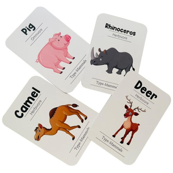 Animals Flash Cards - Pack of 24 Hot on Sale